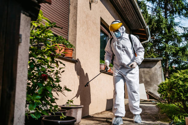 Reliable Lakewood, CO Pest Control Solutions