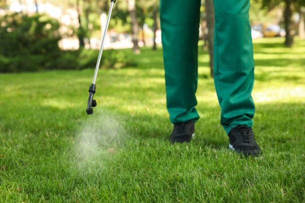 Professional Pest Control in Lakewood, CO